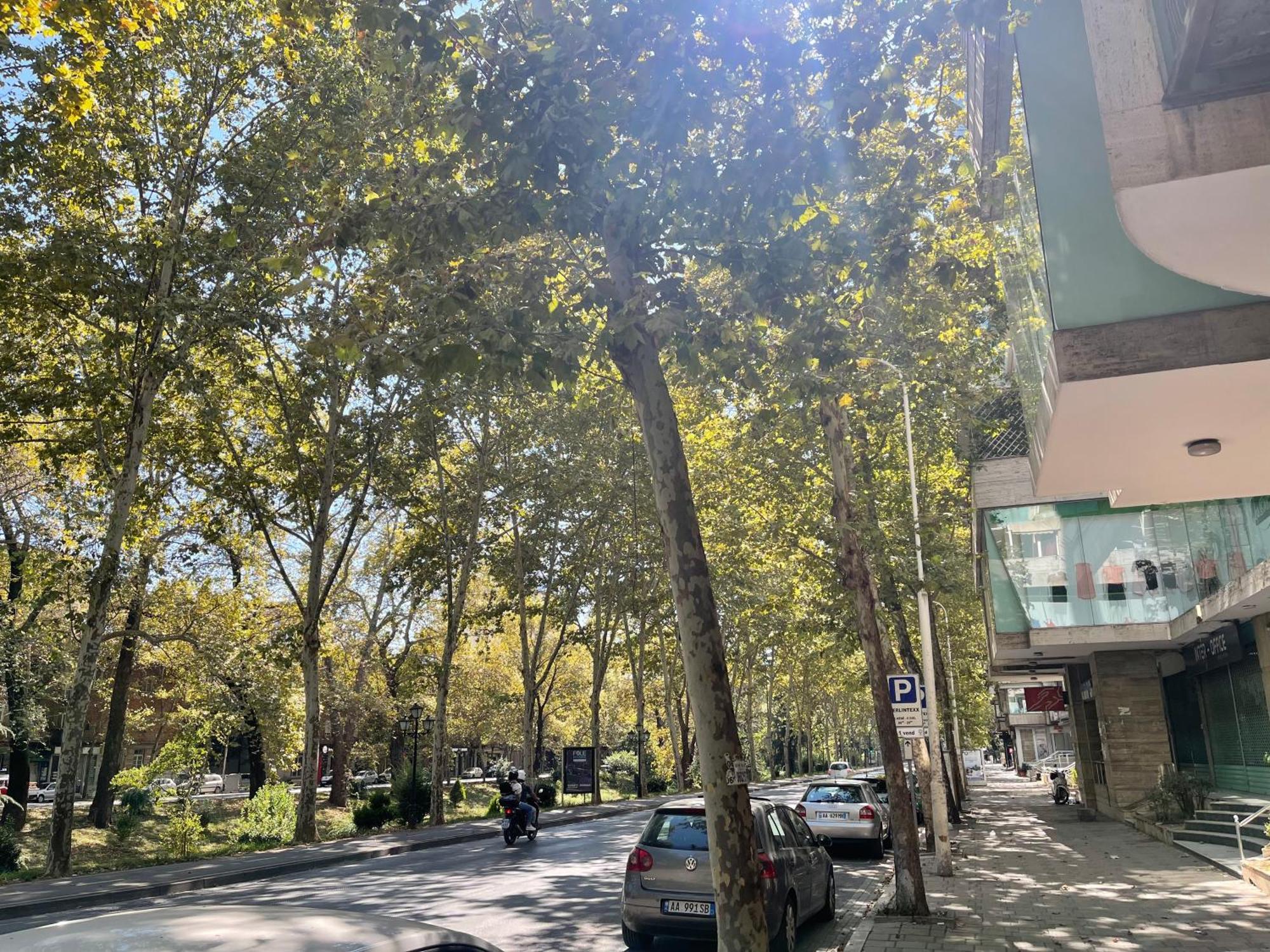My Tirana2 Lägenhet Exteriör bild